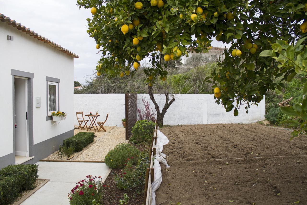 Casa Do Avo Serra Leiria Exterior photo